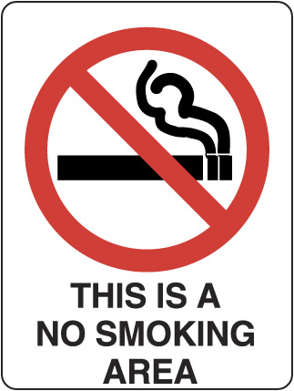 SIGN NO SMOKING IN THIS AREA 450X300 POLY 112P